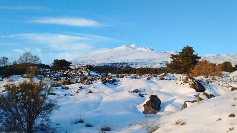 From Catania: Guided Tour of Mount Etna and Taormina - Possible Drawbacks or Considerations