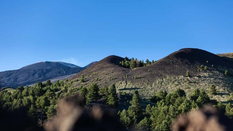 From Catania: Mount Etna Volcano, Lava Caves & Flavors Tour - Final Thoughts