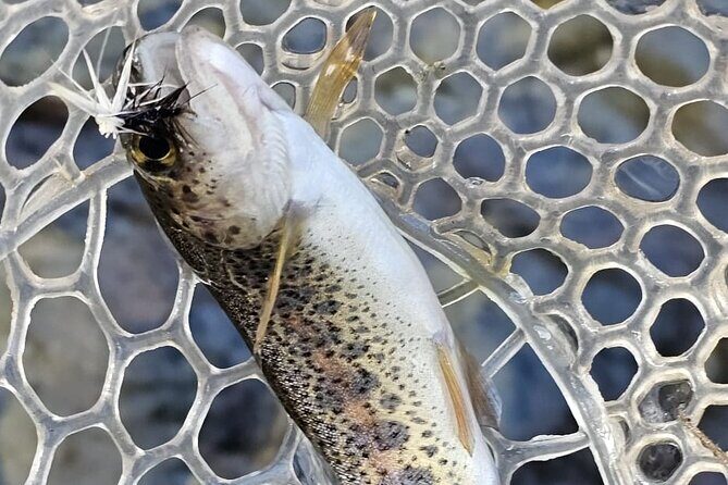 From Catania, Syracuse and Taormina: fly fishing experience - The Scenery and the Catch