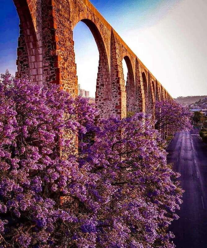 FROM CDMX: Michoacan, Morelia, Guanajuato, Queretaro, Morelos, Guerrero - An In-Depth Look at the Itinerary