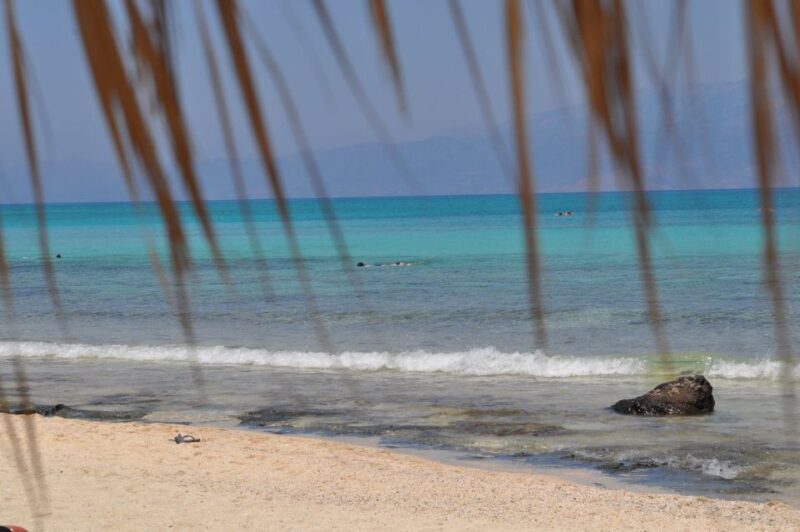 From Chania Area: Day Trip to Elafonisi Island by Bus - The Experience in Detail