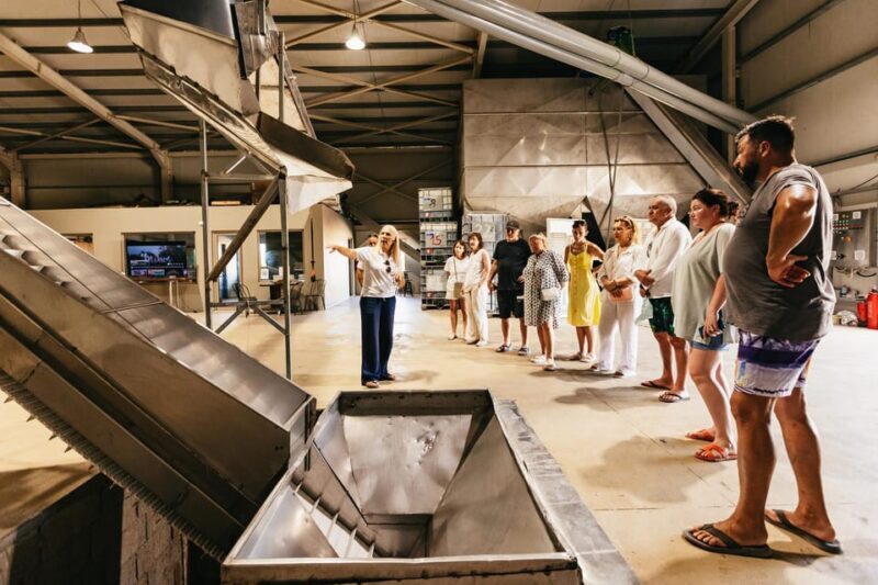 From Chania: Elafonisi and Falasarna Guided Tour with Snacks - The Guides