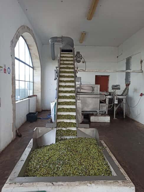 From Chania: Falassarna Beach, Wine & Olive Oil Private Tour - What Makes This Tour Stand Out?