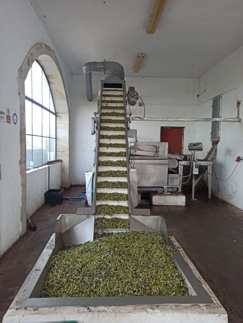 From Chania: Falassarna Beach, Wine & Olive Oil Private Tour - Who Is This Tour Best For?