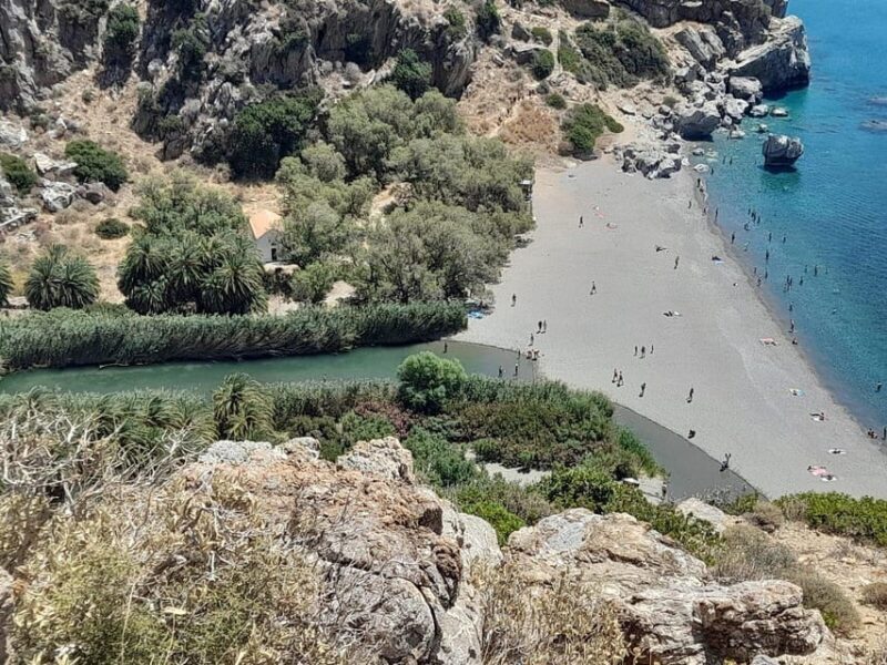 From Chania: Preveli Palm Beach and Kourtaliotis Waterfalls - Key Points