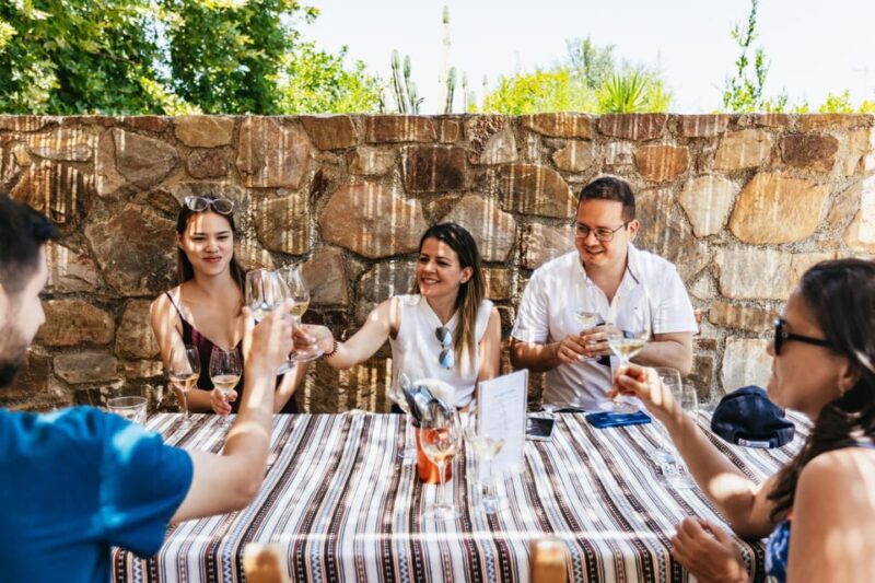 From Chania: Wine and Olive Oil Tasting Tour with Snacks - What to Expect on the Tour