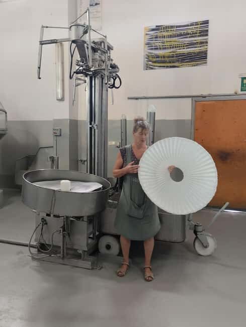 From Chania: Wine, Honey & Olive Oil Private Tour - An In-Depth Look at the Tour Experience