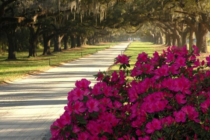 From Charleston: Boone Hall Plantation Entry with Transfers - FAQ
