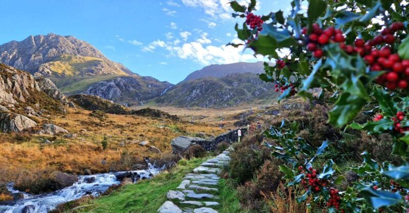 From Chester: North Wales and Caernarfon Castle Tour - Exploring North Wales from Chester: A Detailed Review of the Caernarfon Castle & Snowdonia Tour