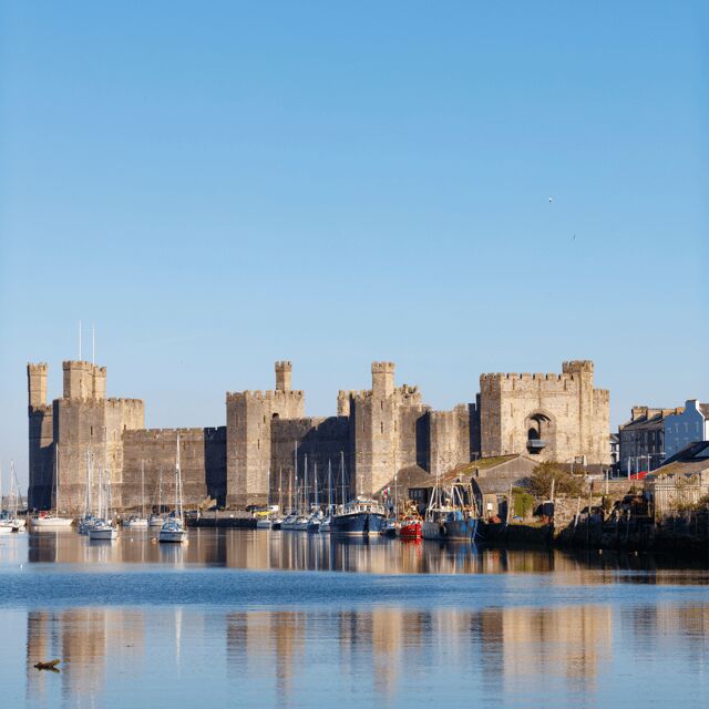 From Chester: North Wales and Caernarfon Castle Tour - Who Will Love This Tour?