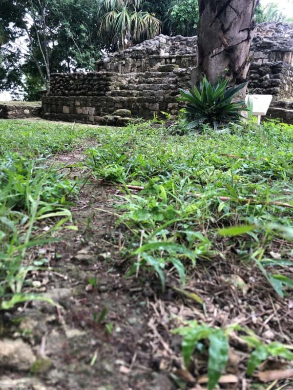 From Chetumal/Bacalar: Chacchoben Mayan Ruins Guided Tour - Key Points