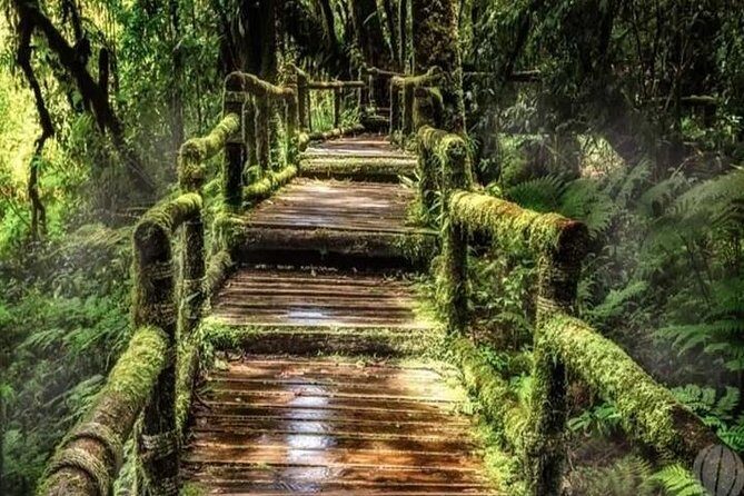 From Chiang Mai: Inthanon National Park 9-Hour Group Tour - Final Thoughts