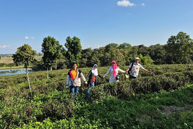 From Chiang Rai: 7 wonder Full-Day Tour and Thai Buffet lunch - FAQs