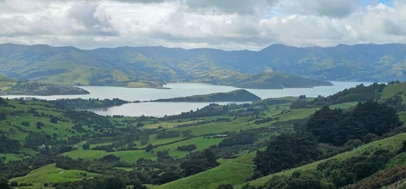 From Christchurch: Akaroa Day Tour with Optional Cruise - Practical Details and Value