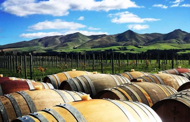 From Christchurch: Guided Local Wine Tours in Waipara - Key Points