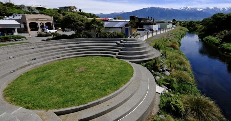 From Christchurch: Kaikura Day Tour with Whale Watching - The Whale Watching Cruise: A Marine Marvel