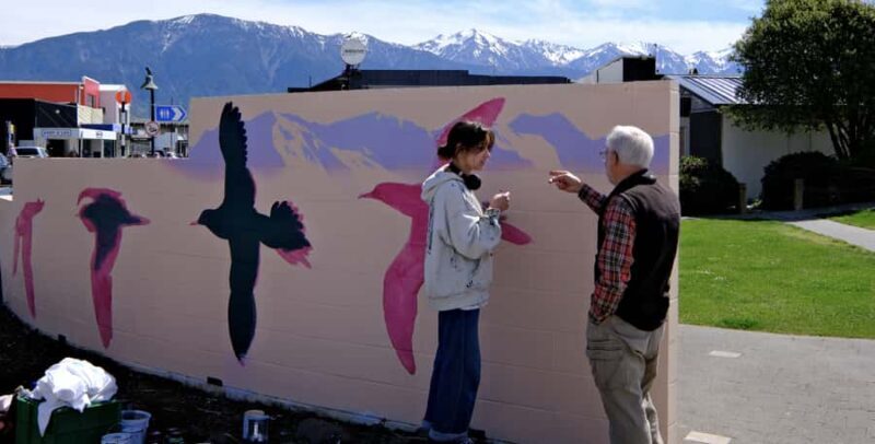 From Christchurch: Kaikura Day Tour with Whale Watching - Weather and Sea Conditions