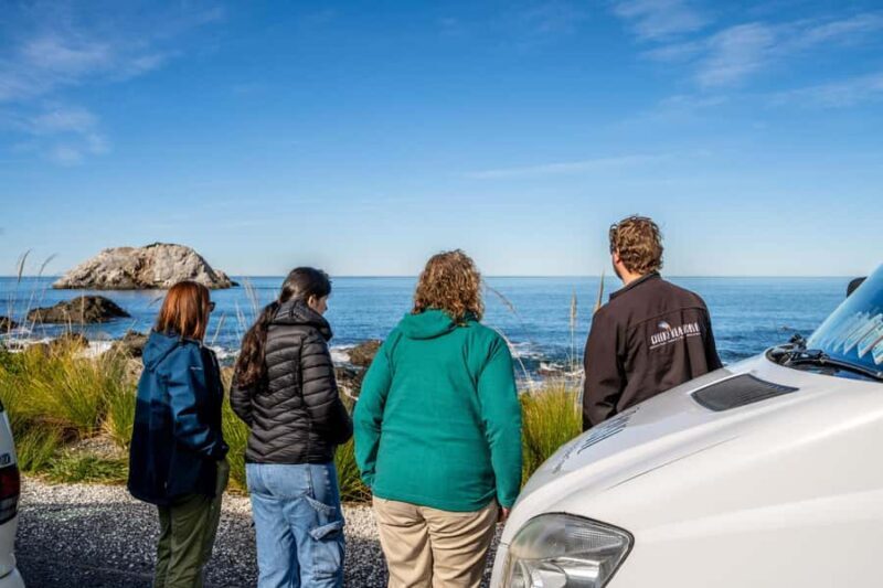 From Christchurch: Kaikura Day Tour with Whale Watching - Return Journey and Drop-offs