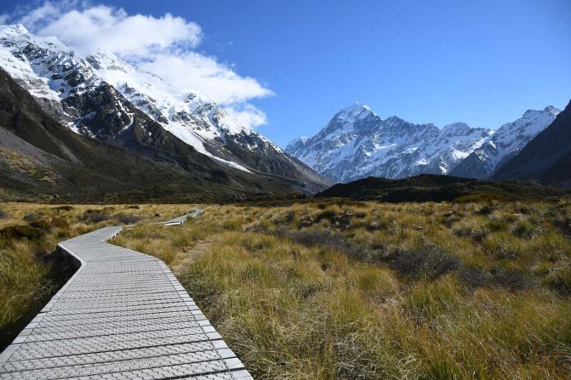 From Christchurch: Queenstown via Tekapo & Mt Cook Day Trip - What Travelers Say