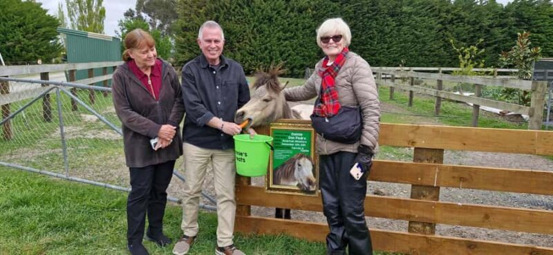 From Christchurch: Sheep Farm Experience with Lunch & Winery - An In-Depth Look at the Sheep Farm Tour