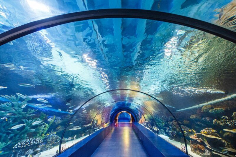 From City of Side: Antalya Aquarium Tour, Ticket & Transfer - A Detailed Look at the Tour Experience