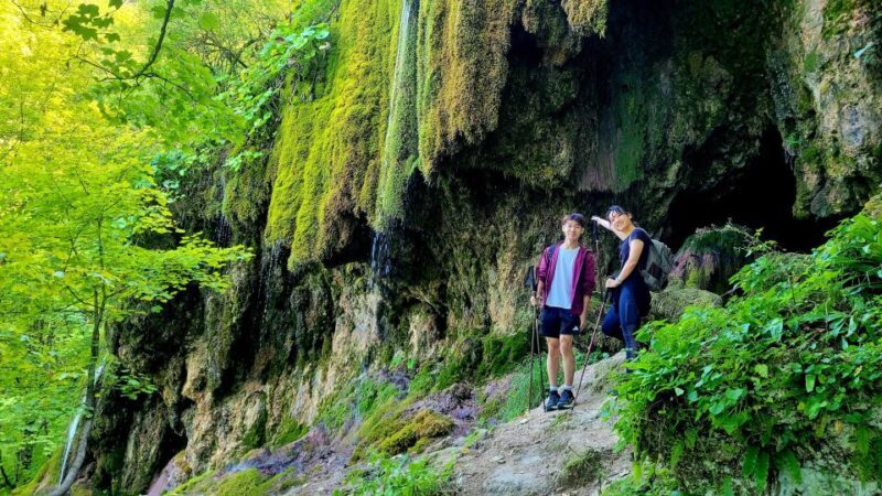 From Cluj-Napoca: Apuseni Mountains Hiking Guided Day Tour - An In-Depth Look at the Apuseni Mountains Guided Hike