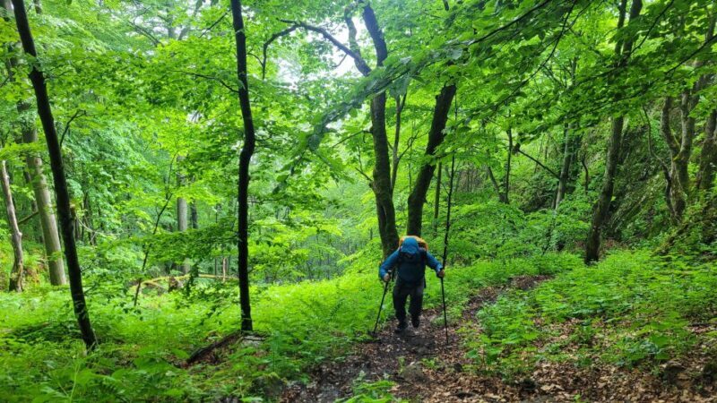 From Cluj-Napoca: Apuseni Mountains Hiking Guided Day Tour - FAQs