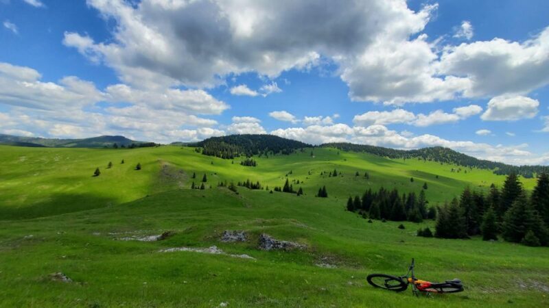 From Cluj-Napoca: Carpathian Mountains Guided Scenic Hike - An In-Depth Look at the Guided Hike