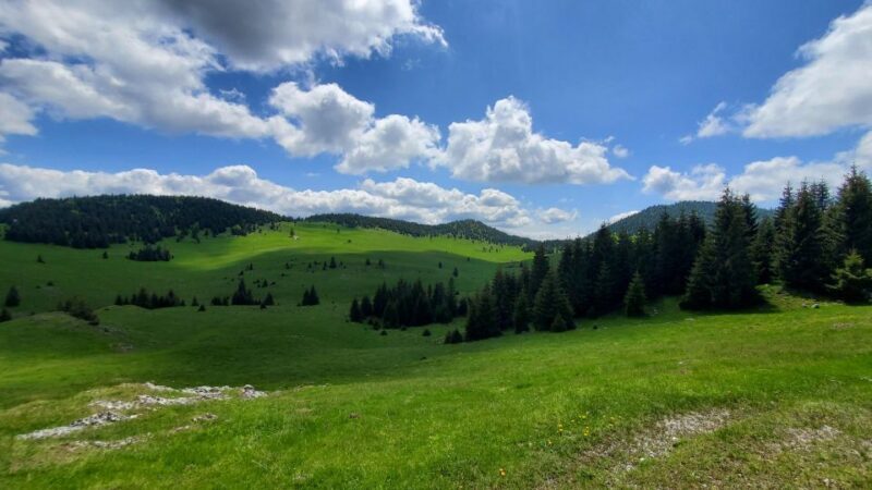 From Cluj-Napoca: Carpathian Mountains Guided Scenic Hike - The Verdict: Who Will Love This Tour?