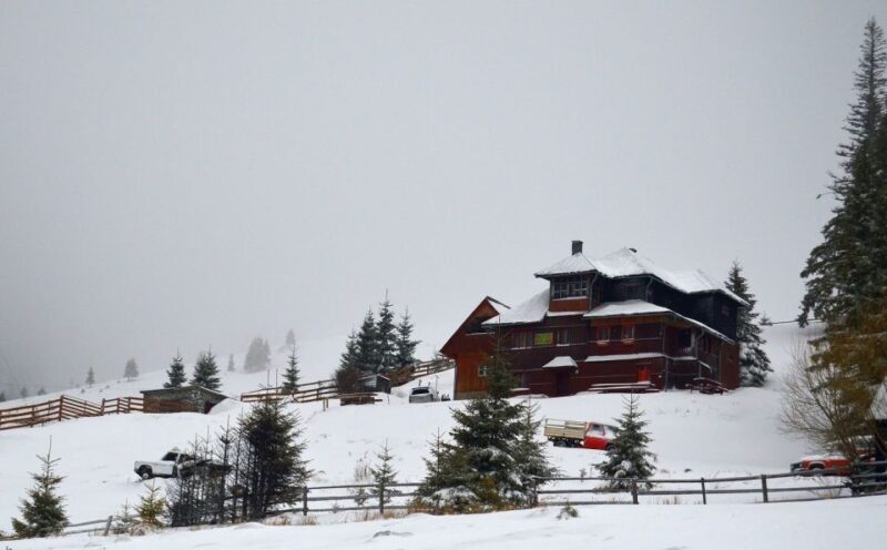 From Cluj-Napoca: Day Hike to Vldeasa Peak - Authenticity and Reviews