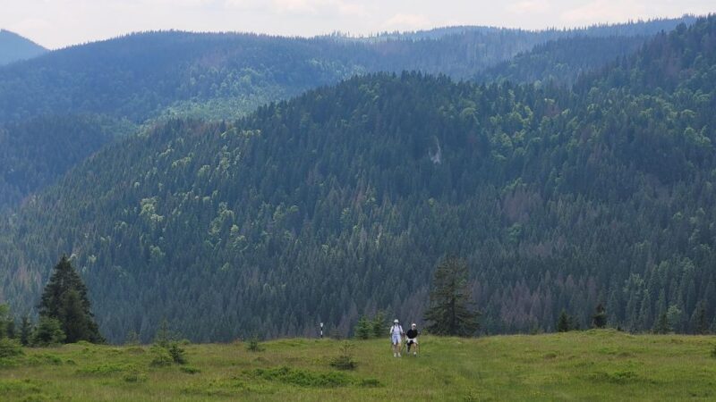 From Cluj-Napoca: Day Hike to Vldeasa Peak - Practical Tips for a Great Hike