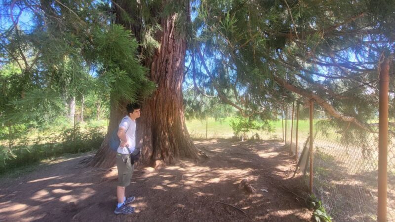 From Cluj-Napoca: Day Hike to Vldeasa Peak - Final Thoughts