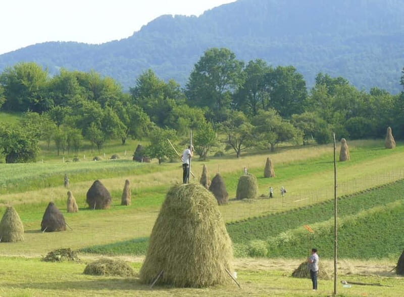 From Cluj-Napoca: Maramure 3-Day Tour with Accommodation - Exploring the Maramure Experience in Detail