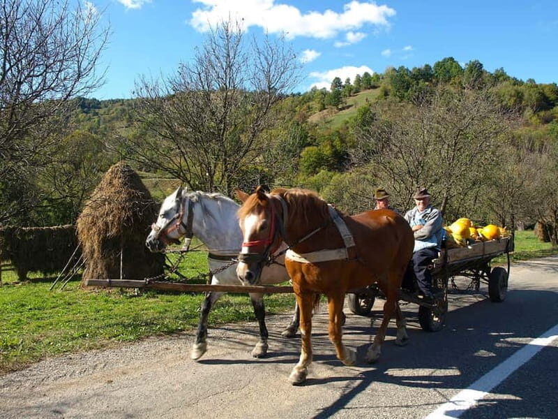 From Cluj-Napoca: Maramure 3-Day Tour with Accommodation - What Makes This Tour Stand Out?