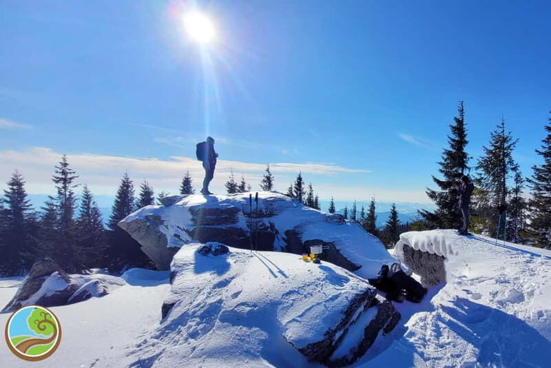 From Cluj: Winter Walking Trip on the Great Mountain - Key Points