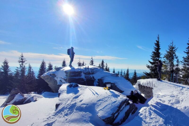 From Cluj: Winter Walking Trip on the Great Mountain - Practical Details and Value