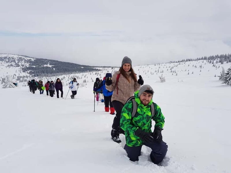 From Cluj: Winter Walking Trip on the Great Mountain - Who Should Consider This Tour?