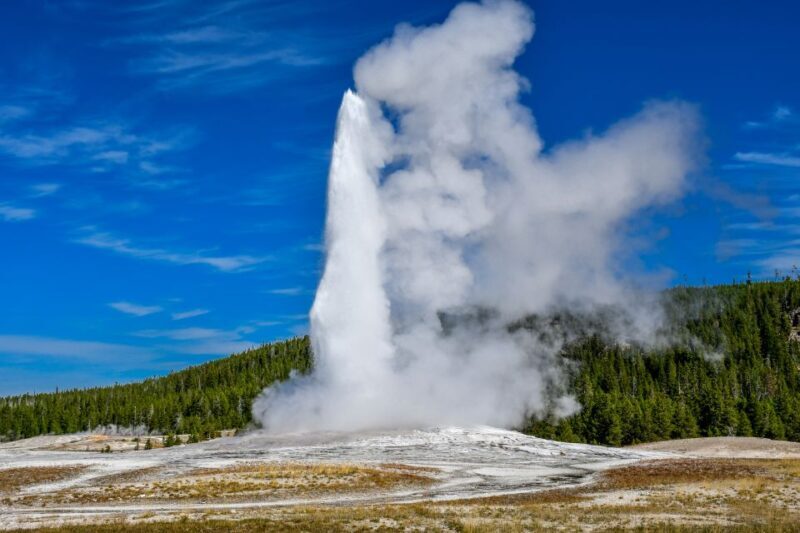 From Cody: Full-Day Yellowstone National Park Tour - An In-Depth Look at the Yellowstone Tour