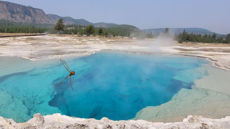 From Cody: Full-Day Yellowstone National Park Tour - FAQs