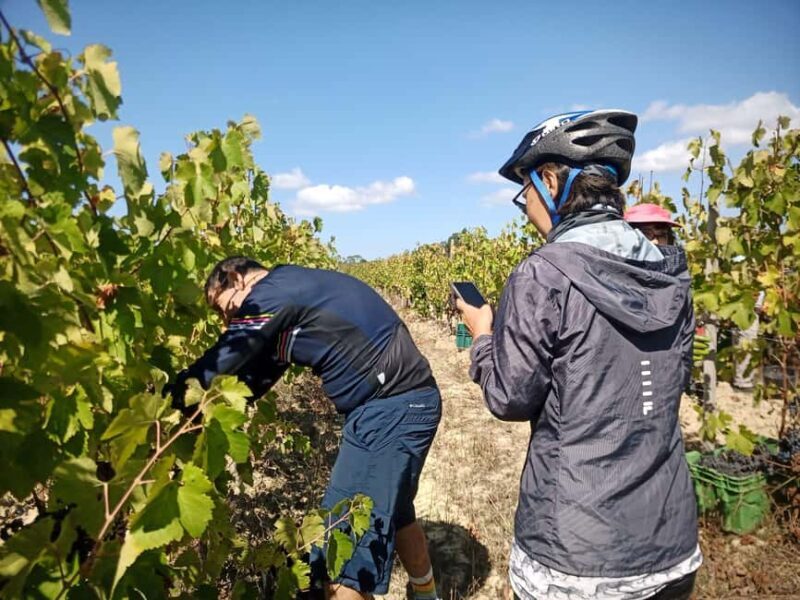 From Coimbra: Cycling in the Vineyards of Bairrada - Key Points