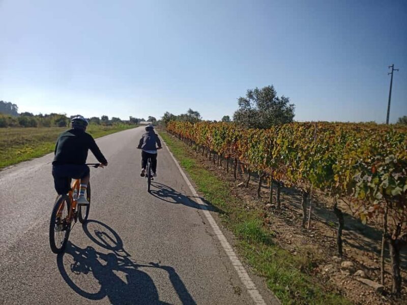 From Coimbra: Cycling in the Vineyards of Bairrada - Why This Tour Is a Great Choice