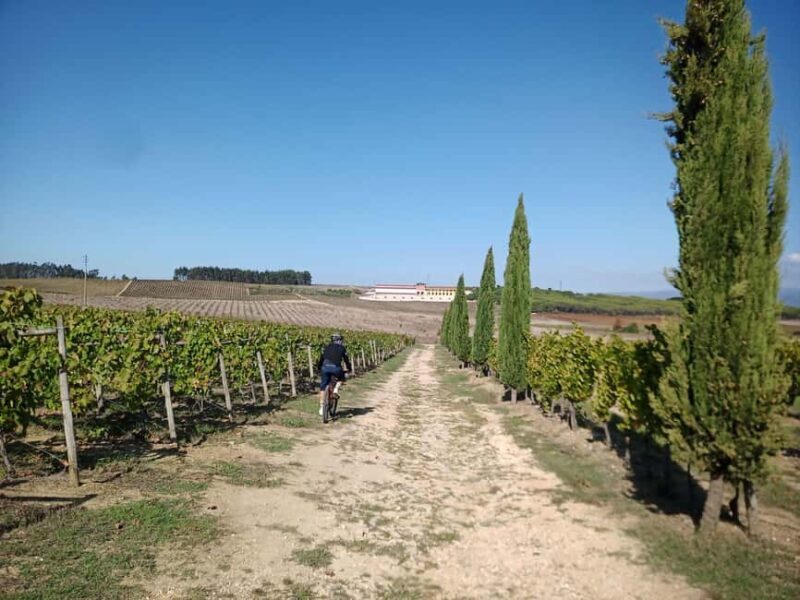From Coimbra: Cycling in the Vineyards of Bairrada - FAQ