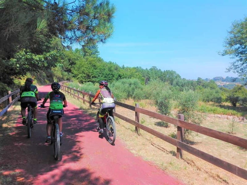 From Coimbra: Cycling on the Dão Ecotrail - Key Points