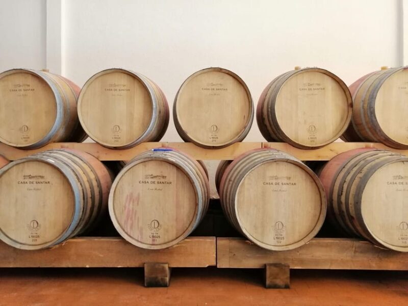 From Coimbra: Dão Wine Route Experience - Final Thoughts: Is This Tour Worth It?