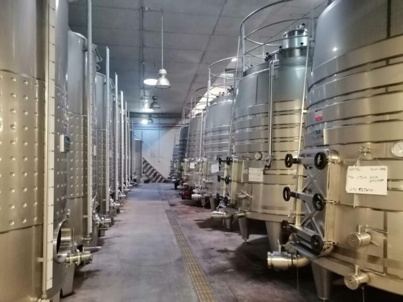 From Coimbra: Dão Wine Route Experience - Final Verdict