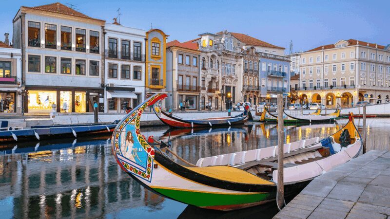 From Coimbra: Porto, Aveiro and Douro in Private with Tasting and Cruise - Key Points