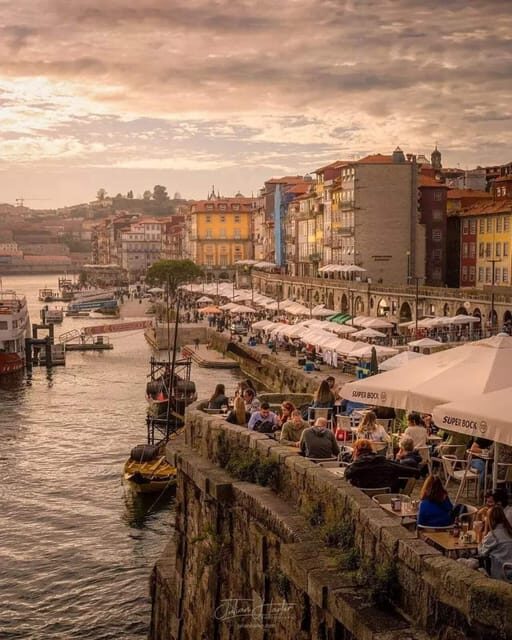 From Coimbra: Porto, Aveiro and Douro in Private with Tasting and Cruise - The Stunning Douro Valley: Vineyards and Cruising