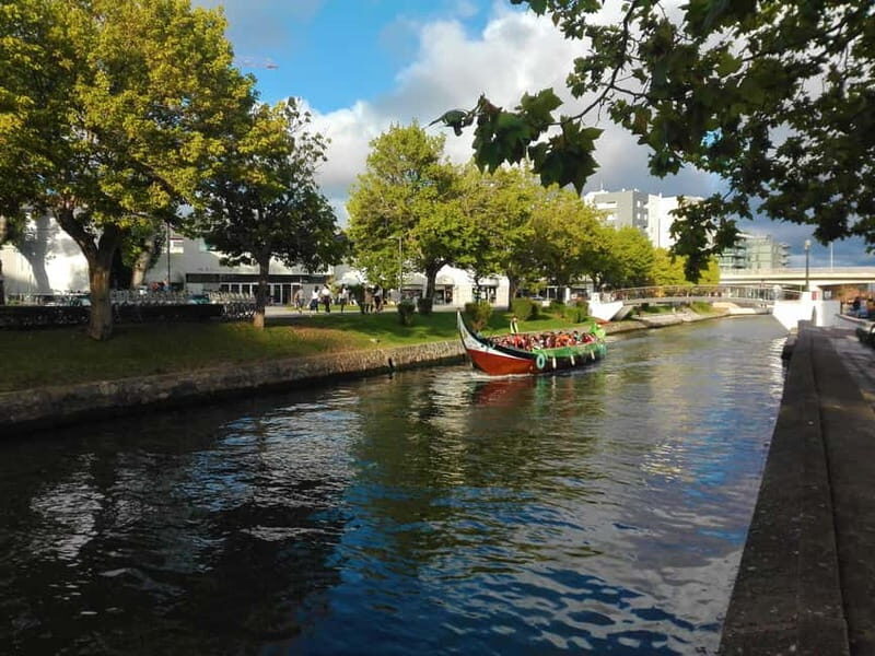 From Coimbra: Tour to Aveiro, Costa Nova beach and Moliceiro boat - The Scenic Charm of Aveiro and Its Canals