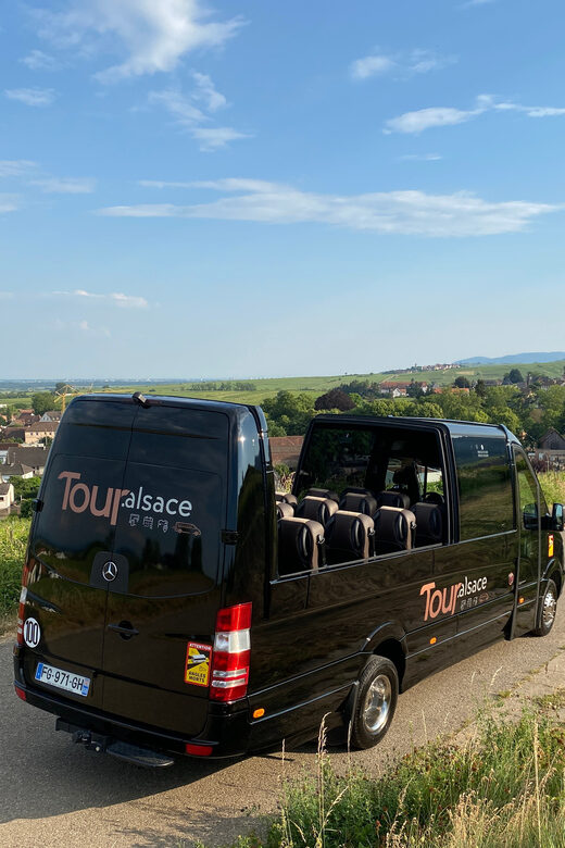 From Colmar: Alsace Medieval and Wine Tasting Day Tour - A Deep Dive into the Experience