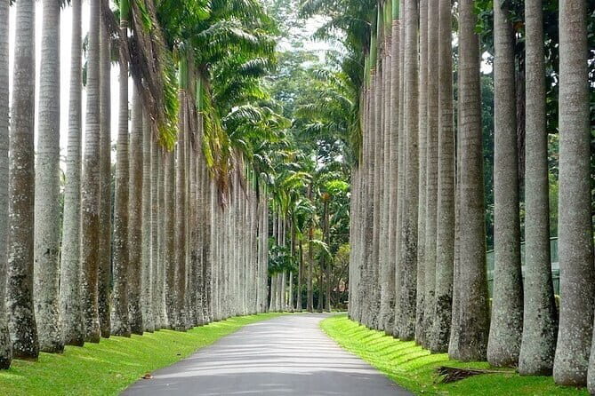 From Colombo Airport to Sigiriya or Kandy Private Transfer - Authentic Experiences from Reviews